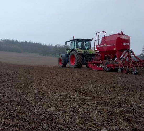 Still time to incorporate phosphorus into the seedbed