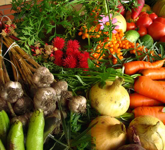 IOA welcomes revised Organic Farming Scheme payments