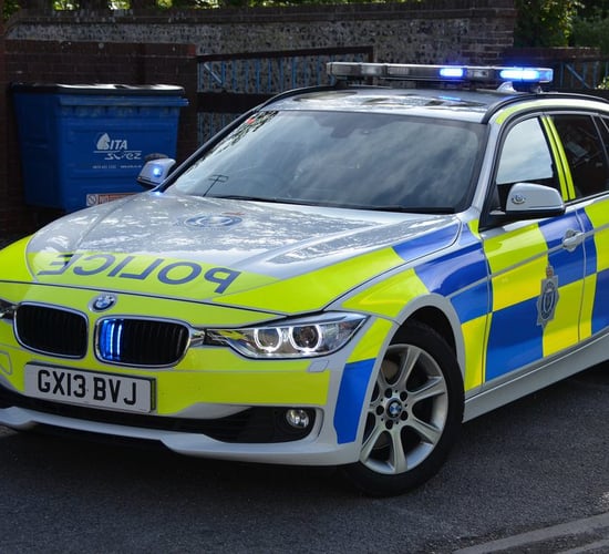 Wilts Police appeals for info following 3 separate sheep thefts