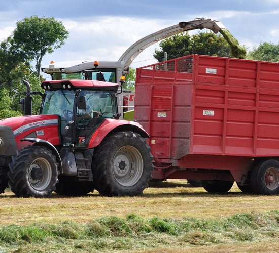 New importer for McCormick and Landini tractors