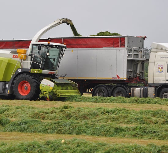 Should you pay extra for a 'long draw' at silage time?