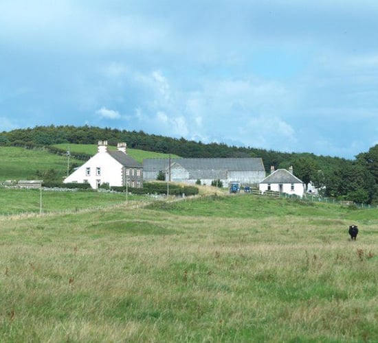 Are more 'farmer-friendly' audits on the way?