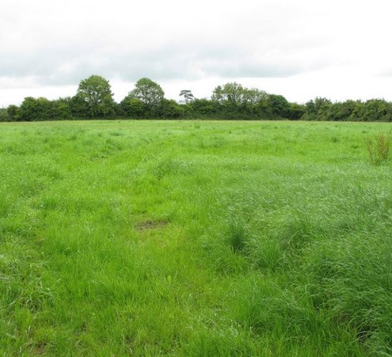 Just 0.5% of Irish agricultural land changed hands in 2016