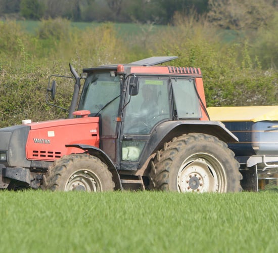 Teagasc would have us salt the earth