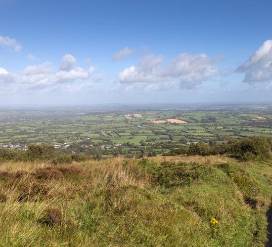 Authorities confirm Silvermines dairy farms are 'back in production'