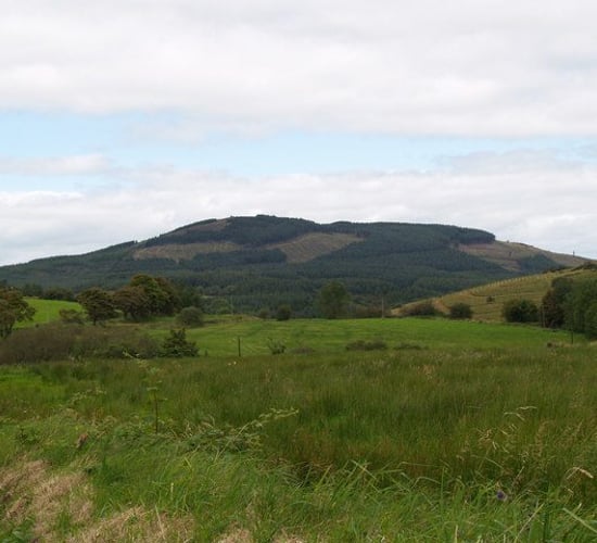 Fresh probe into Silvermines cattle poisoning saga