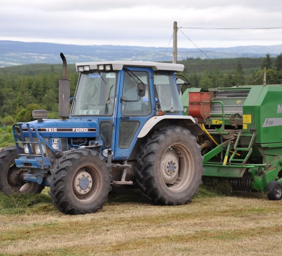 Focus on fodder and finance at tomorrow's Agri Committee meeting