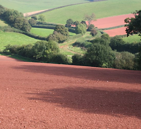 Building soil fertility in a sustainable way
