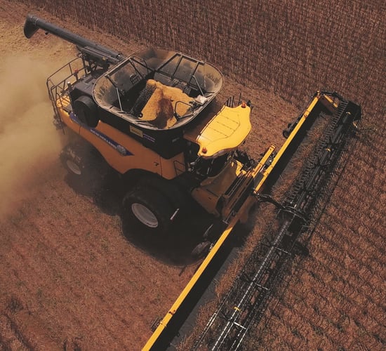 Grain price: What really influences it?