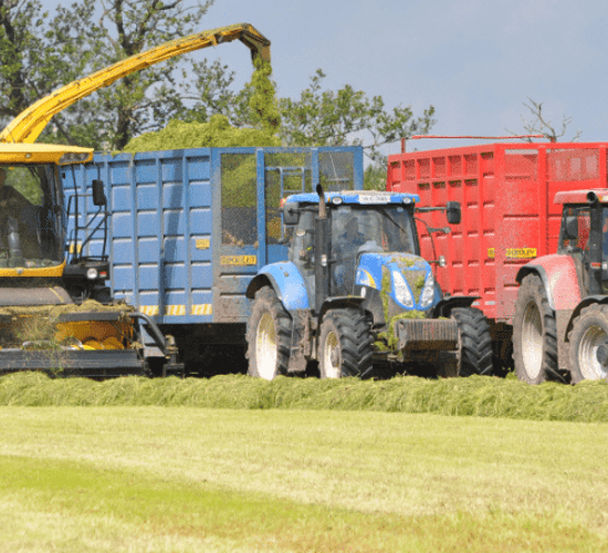 How much will it cost to get your (pit) silage cut?