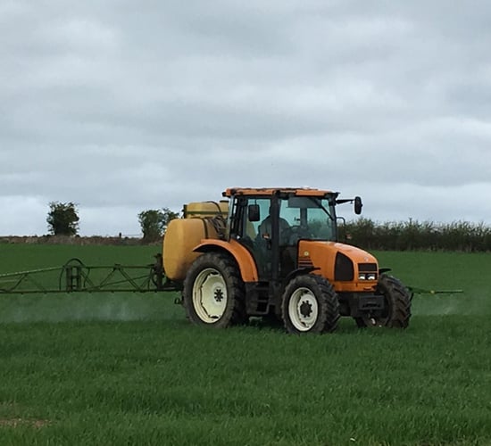 Best-practice cereal management tips - for the month of May