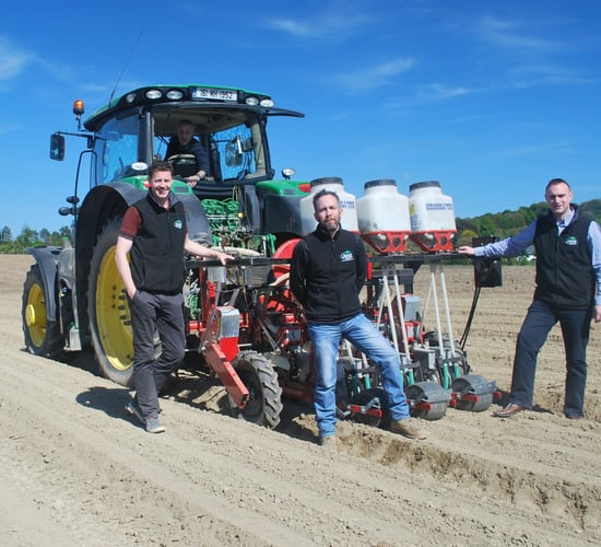 'Busy carrot planting season a success - for upcoming July harvest'