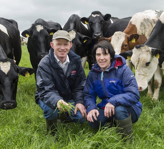 Dairygold annual Milk Quality Awards winner announced