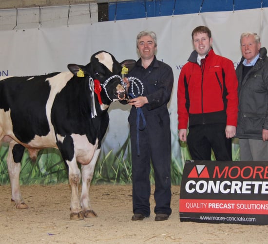 Good prices and a strong trade at Dungannon dairy sale