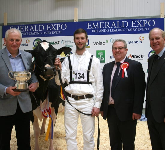 World-class animals on show at Emerald Expo