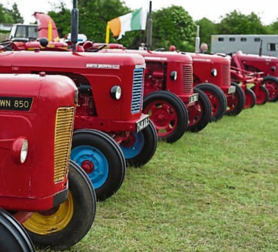 Kildare Show gets 'crafty' with home-brewed beer