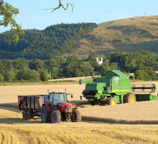 Scottish farm incomes take a hit of almost 50%