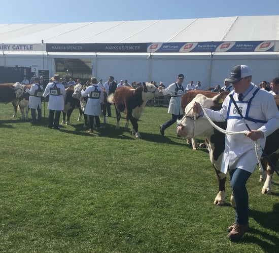Video: Watch the first day at Balmoral Show 2017