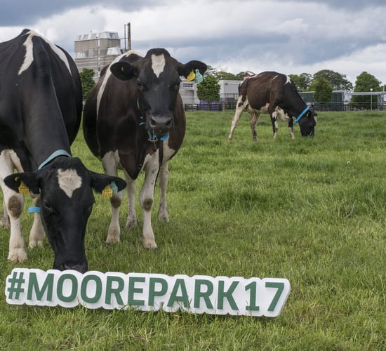 Date for your diary: Open Day at Teagasc Moorepark