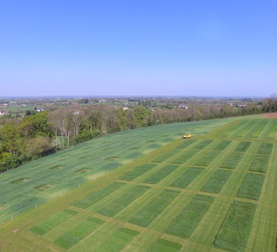 More From Grass event is a 'must-attend opportunity'