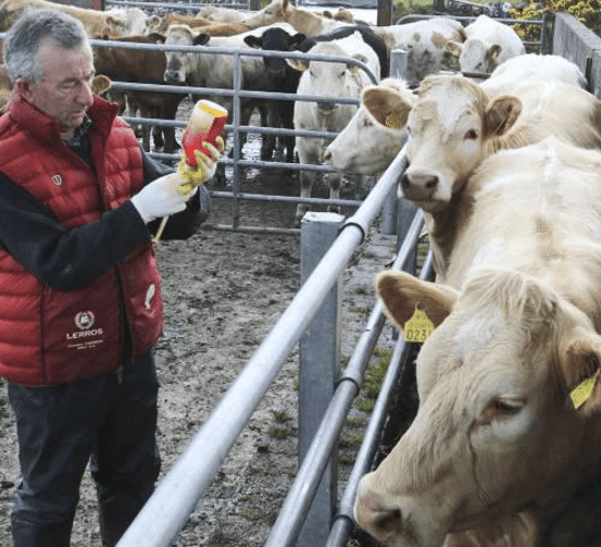 Major food-service companies pledge to go 'antibiotic-free'