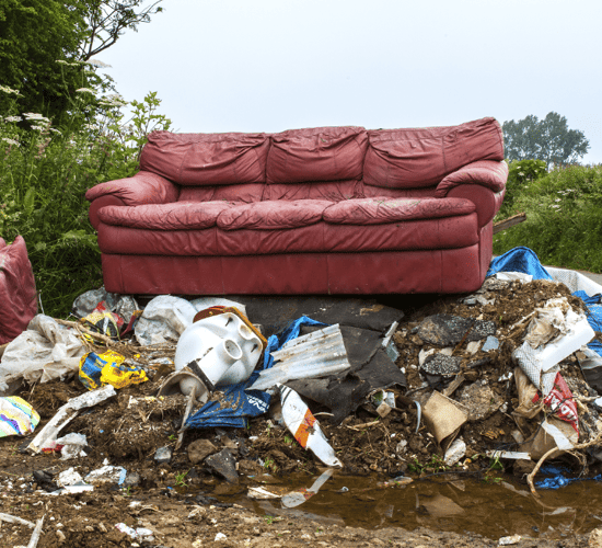 Action plan needed against post-Christmas dumping surge