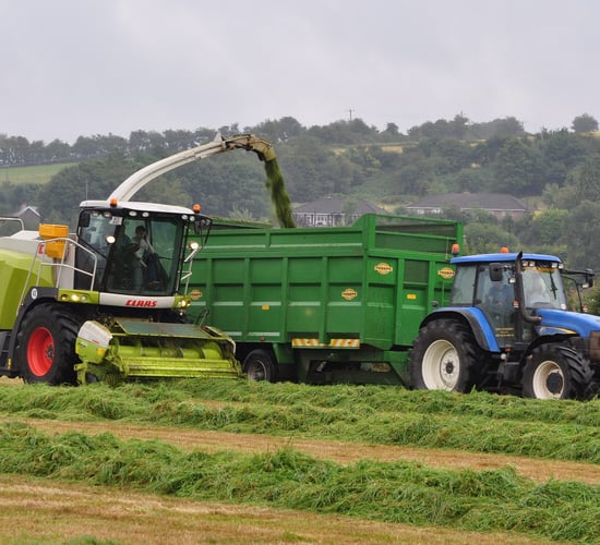 Reminder: The 'Great Grass Event' aims to set new forager world record tomorrow
