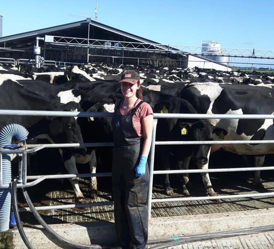 A student's view: Dairying on the far side of the world