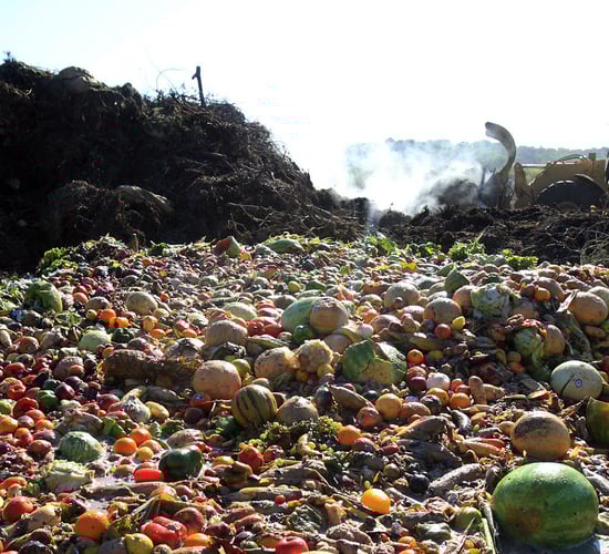 EU votes to adopt proposals to reduce food waste