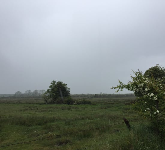Multiple rainfall warnings in place across the country