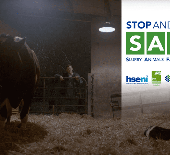 Video: Chilling farm safety advert highlights the danger of freshly calved cows