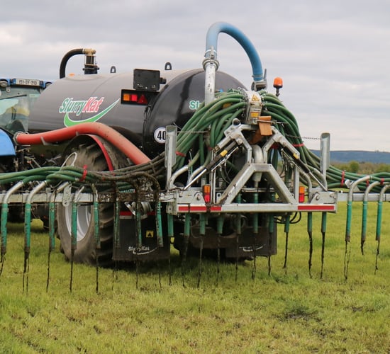 Derogation farmers 'should not qualify for CAP payments' - INHFA