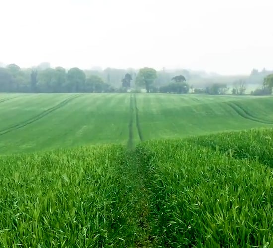 CROPS WATCH: Winter barley is showing excellent potential
