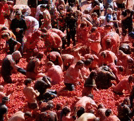 Pasta solo! Poor weather sends European tomato prices through the roof