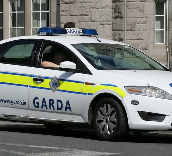 Bungled farm theft results in violent injuries