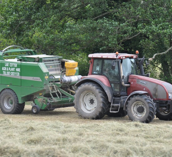Is haylage an option after wet weather?