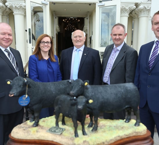 Irish Angus Producer Group celebrates milestone achievement