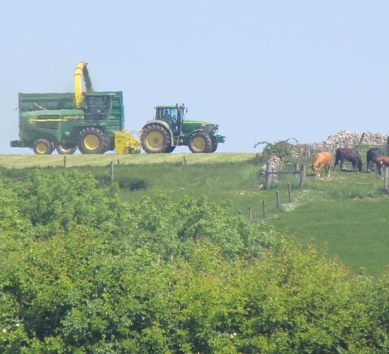 Sustainable Irish farming photo comp - give it your best 'shot'