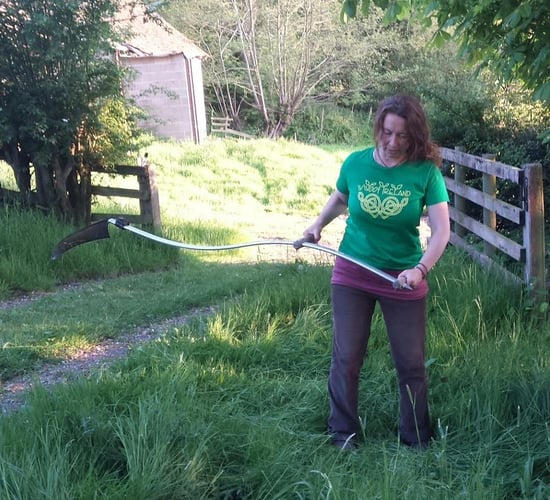 'WWOOFing' wins over growing band of Irish organic farmers