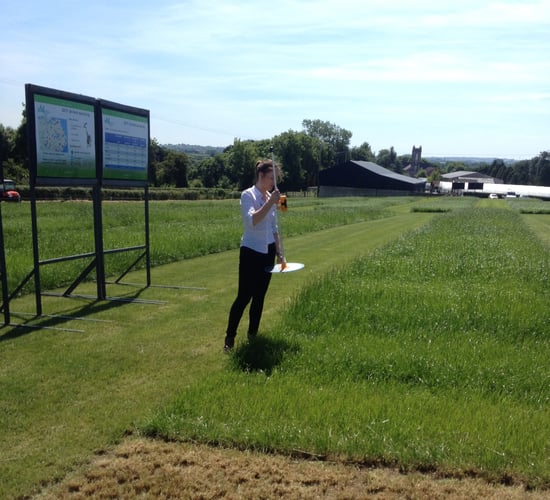 £362,000 boost announced for 2 fish and farming research projects