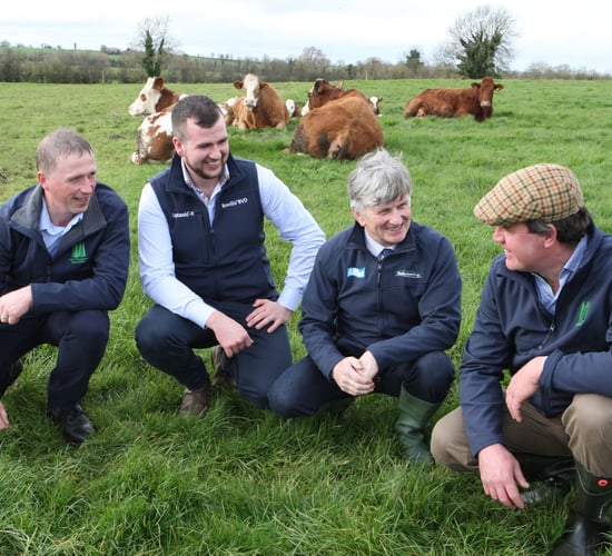 4 reasons why farmers should flock to beef conference