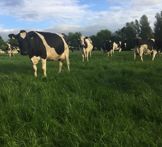 The 40-year journey: How one farmer progressed from manager to owner