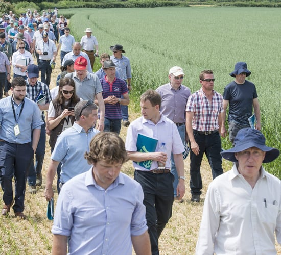Recommended varieties, trial work and more at ISTA open day