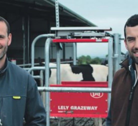 Using robots to milk on an outside block up for discussion at Lely open days