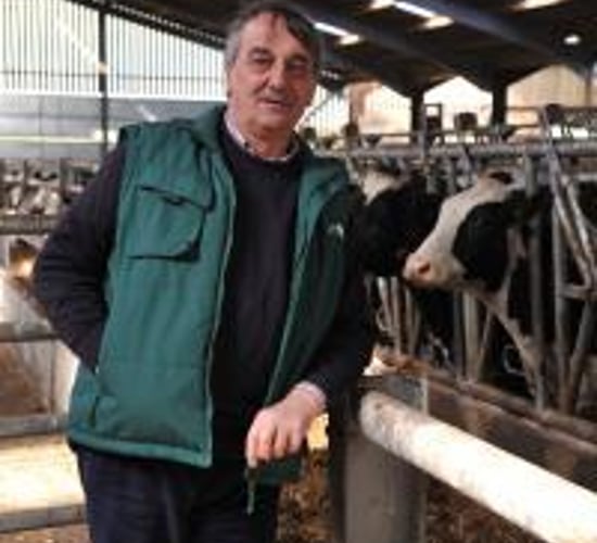 English farmers downbeat on Brexit ‘despite voting leave’