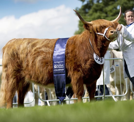 Royal Highland Show gets underway today