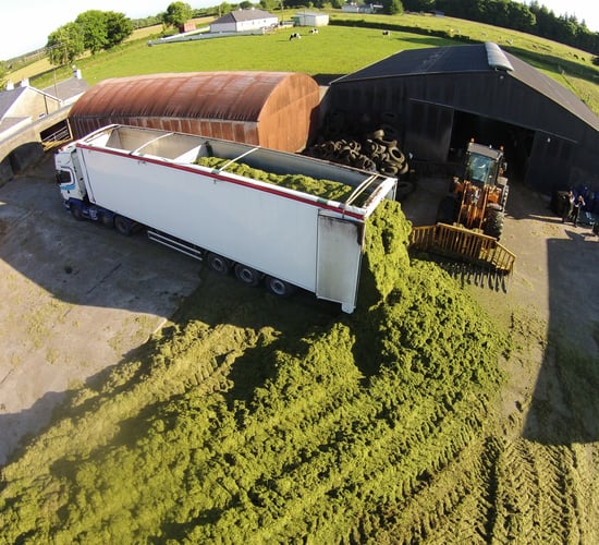 Video: Artic trucks called in to help with 35km silage draw