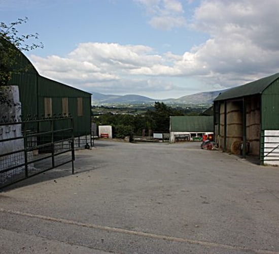 Is formal partnership needed for successful farm transfer?