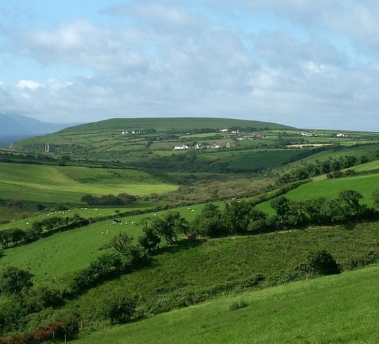 Land in short supply for leasing in Munster