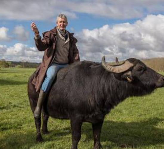 Cork buffalo farmer says 'cheese' for TV ad